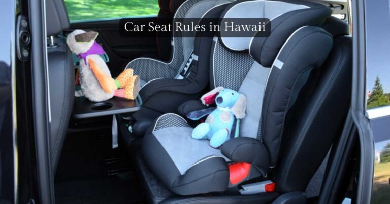 car seat laws hawaii