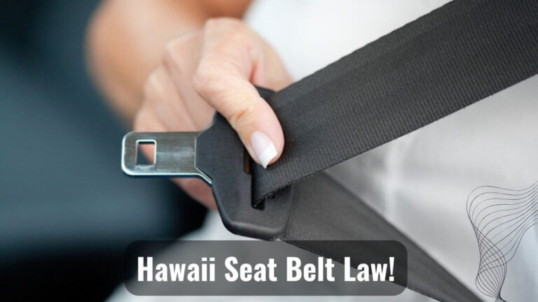 Seat Belt Law Of Hawaii