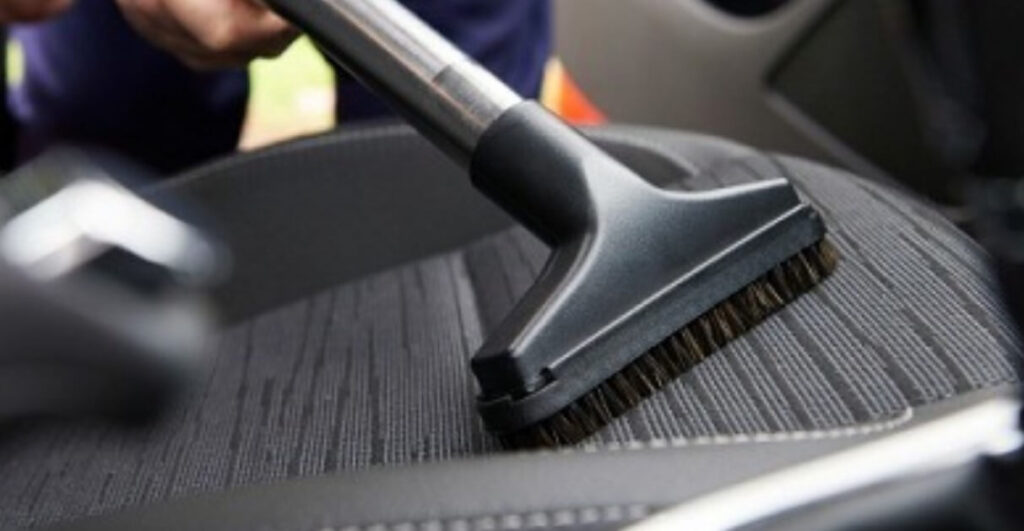 Can Lice Live on Leather Car Seats