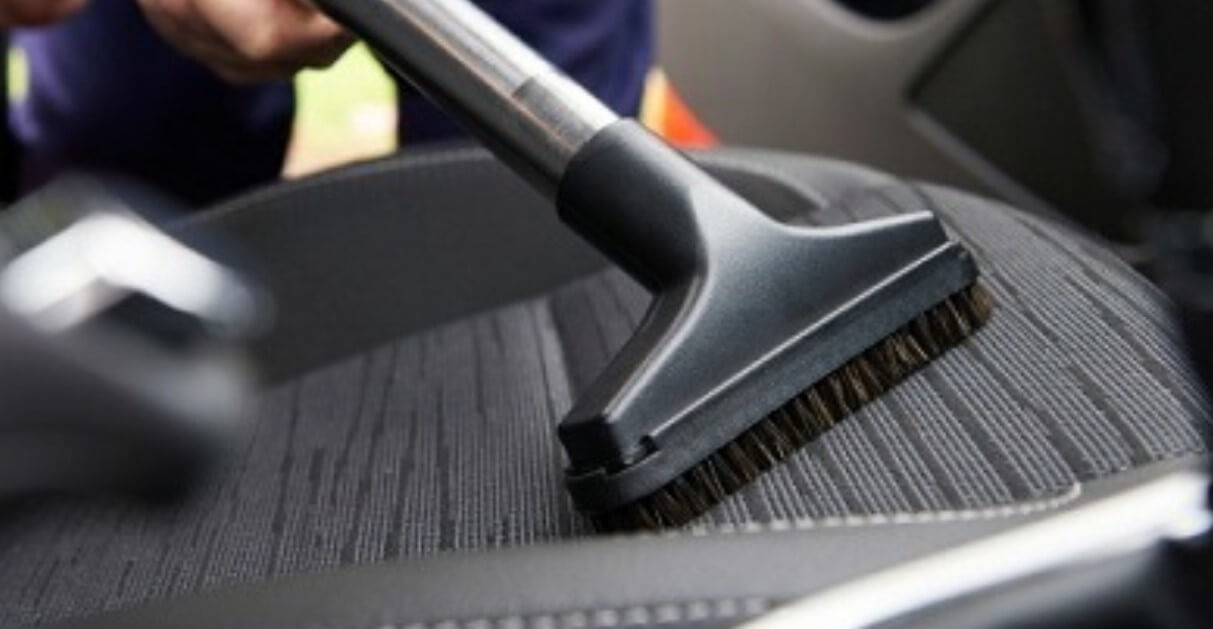 Can Lice Live On Leather Car Seats? Know The Myth!