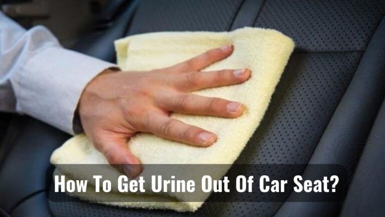 Getting Urine Out Of Car Seat