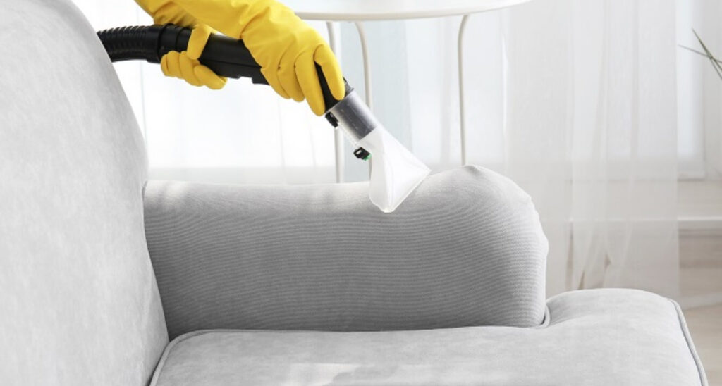 How Long Can Lice Live on Leather Furniture