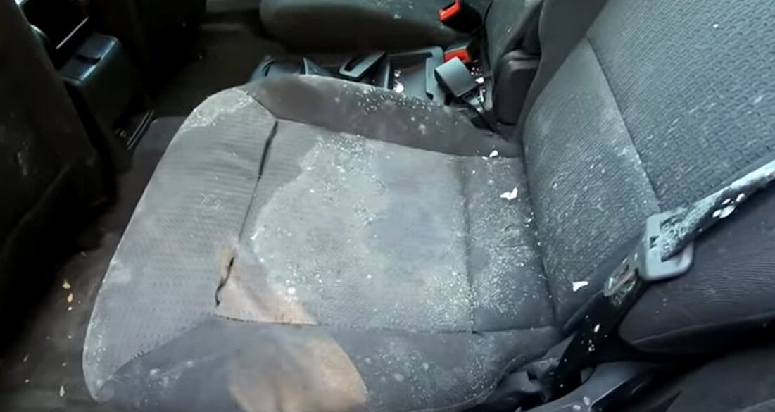 Why Are My Car Seats Going Mouldy? Know The Science!