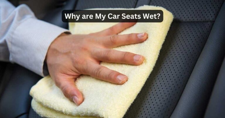 why is my car seat wet
