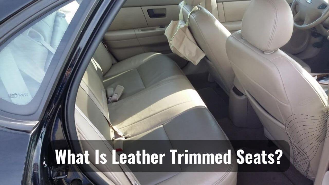 Elevate Your Ride What Is Leather Trimmed Seats?