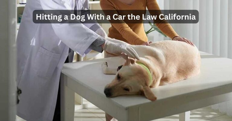 The Law of Hitting a Dog With a Car in California