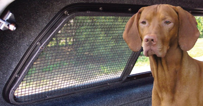 Leer 100XQ truck topper for dogs
