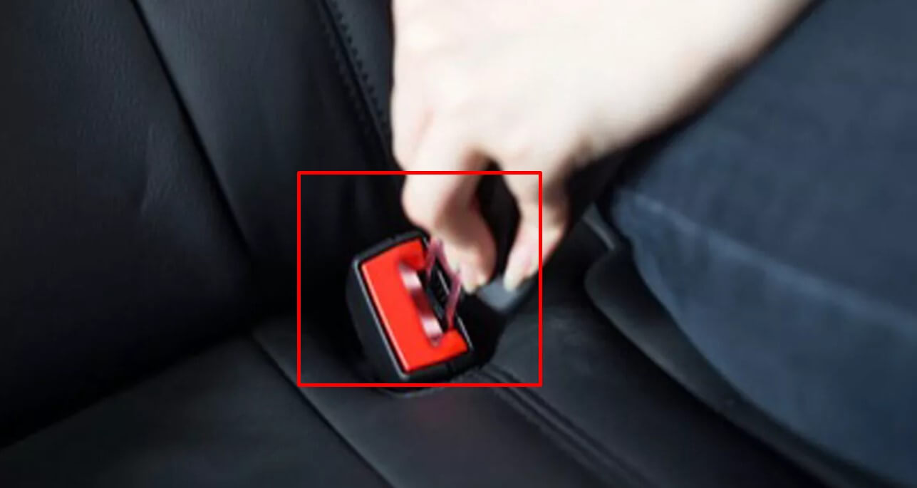 South Carolina Seat Belt Law A Complete Guide!