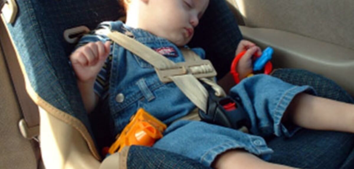 Seat Belt Laws South Dakota Behind The Wheel!