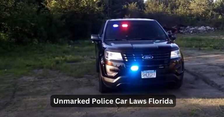 florida undercover cop cars