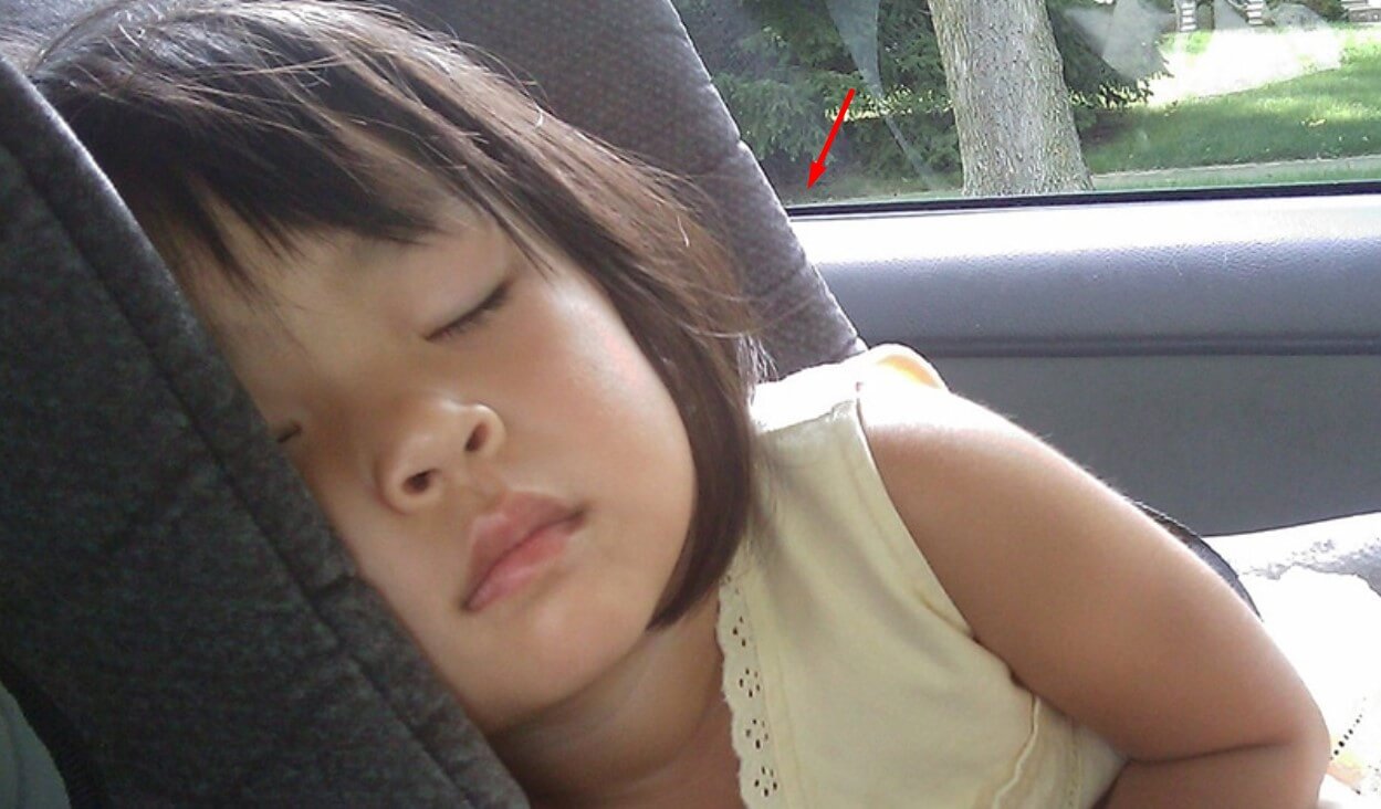 Backless Booster Seat Requirements KY! Secret Of Law!