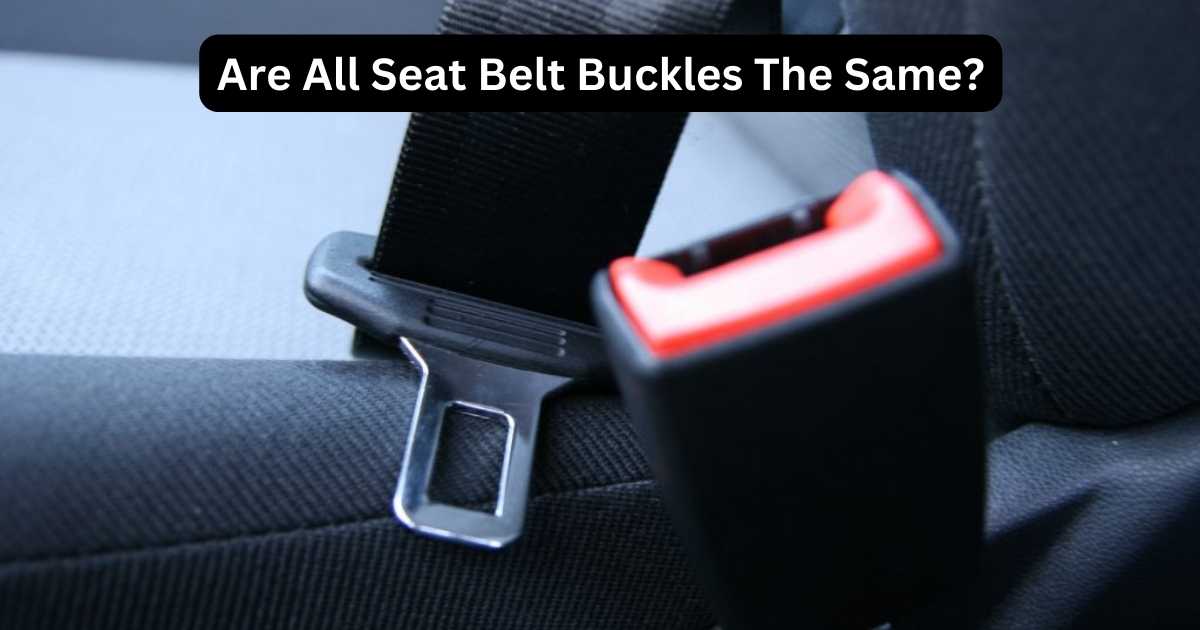 Are All Seat Belt Buckles The Same? Psycho Autos