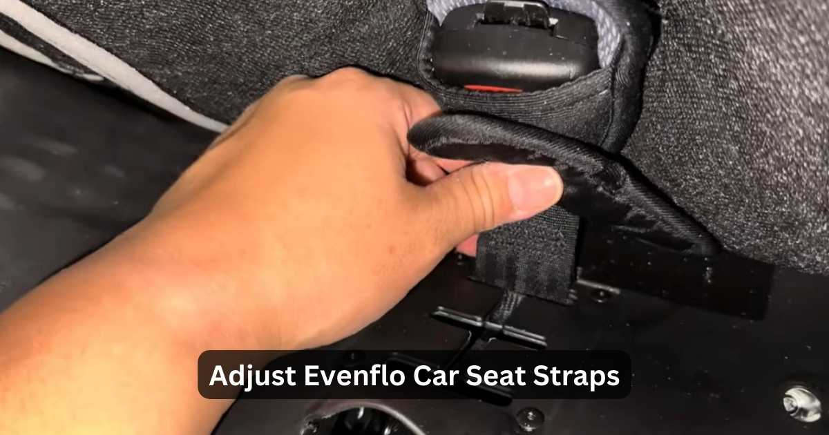 Adjust Evenflo Car Seat Straps | Say Goodbye To Fussy Straps