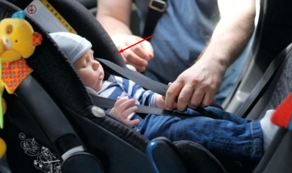 MN Car Seat Laws Forward-Facing