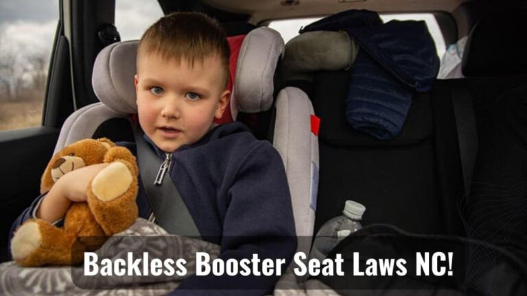 NC Backless Booster Seat Laws
