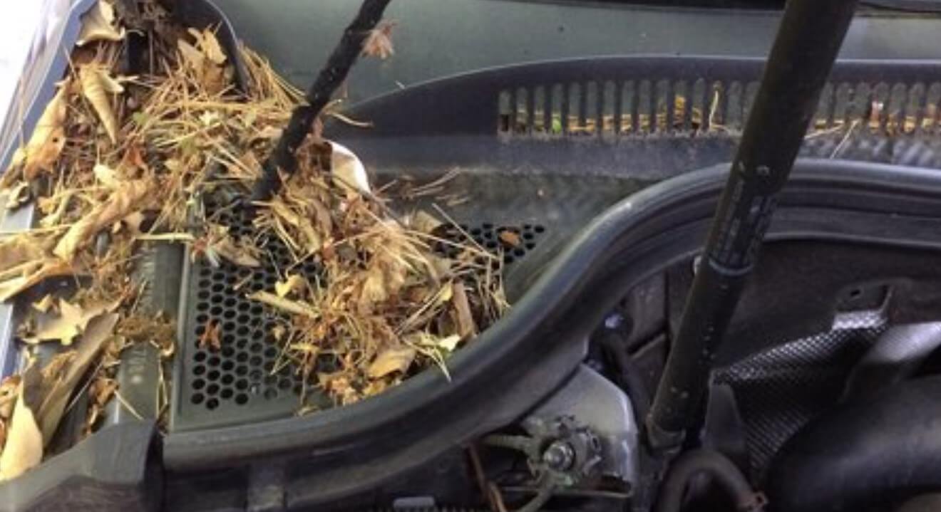 Why Is The Floor Of My Car Wet When It Rains In Rainy Days?